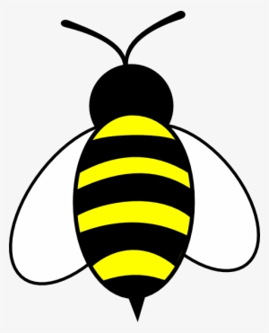 Honey Bee Easy Drawing