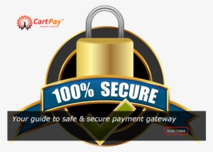 How To Select A Secure Payment Gateway - Secure Payment Logo Png