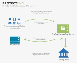 Propay Also Supports Ecommerce Merchants Through Its - Collaboration