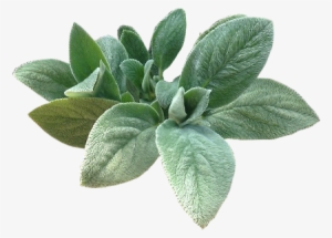 Green Overlays For Edits