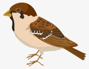 Sparrow Png Clipart - Pipit Clipart