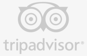 Trip Advisor Logo - Listerine Antiseptic Mouthwash, Cool Mint - 250 Ml