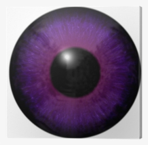 Detail Of Eye With Purple Colored Iris And Black Pupil - Circle