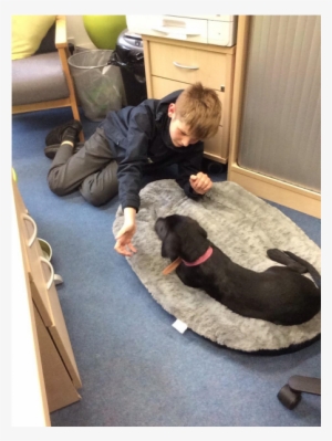 Poppy Has Now Been Coming To School For Over Half A - Primary Pupil Referral Service