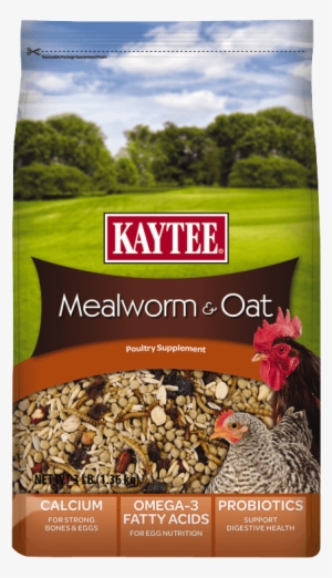 Kaytee Kt Mealworms And Oats Treat 100525168