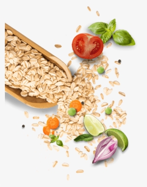 Goodness Of Oats And Vegetables - Vegetarian Cuisine
