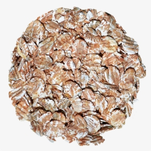 Oat