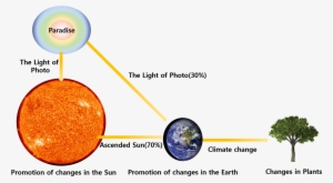 Because The Plants Don't Have The Matrix Structure - Photon Energy
