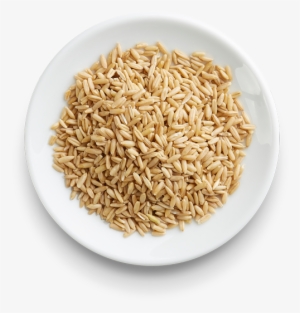 Decorticated Oats - Oat