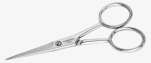 Stainless Steel Scissor