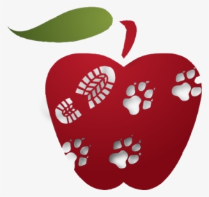 Applecross Vet Trail Dog Race Series