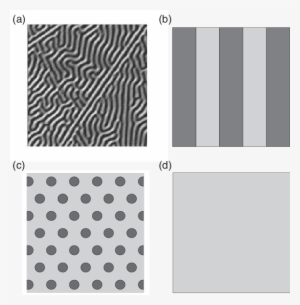 Labyrinth Domain Structure - Throw Pillow