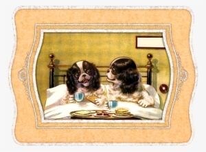 Mister Layam And The Little Lady Suprised Me With A - Animals In Bed