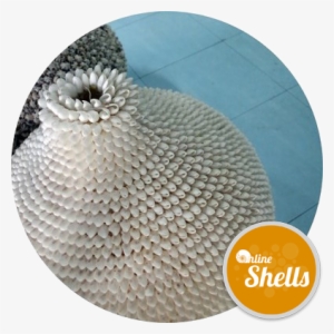 Bubble White Seashells - Floor