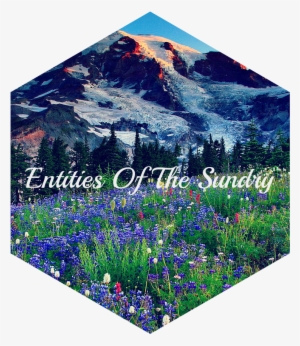 Mountains Mount Rainier Hills Grass Glacier Slope Meadow - Bluebonnet