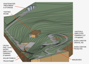After Almost Three Years Since The Fateful Day That - Tree