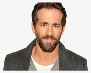 Ryan Reynolds Beard