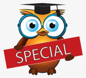 Diploma Of Chakra-puncture Special Offer - Spaeicla Offer Banner Png