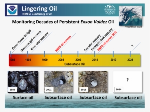 Lindgering Oil In Prince Williams Sound Graphic - Gulf Of Alaska
