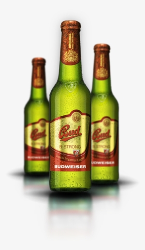 Special Beer - Budvar Strong
