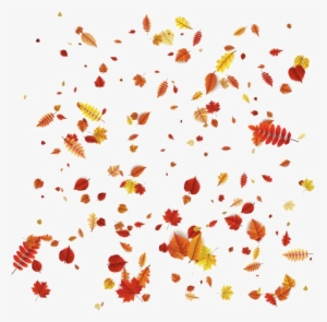 Falling Autumn Leaves Transparent Image - Transparent Png Autumn Leaves