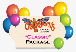 Birthday Party Activity Card Colasantis