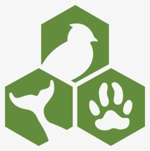 Awi Logo - Animal Welfare Institute Logo
