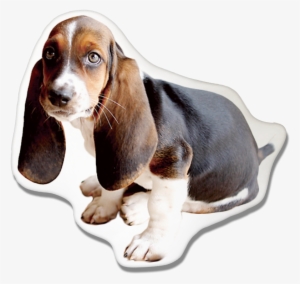 Basset Hound Pillow - Basset Hound Michigan State