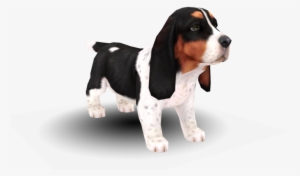 Download Zip Archive - Nintendogs + Cats