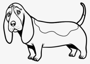 Basset Hound Para Colorear