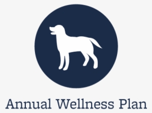 Wellness Plans At Vacaville Animal Care Center - Starch Pet Hospital