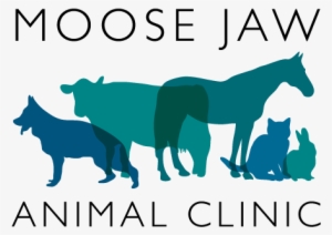Moose Jaw Animal Clinic - Animal Clinic