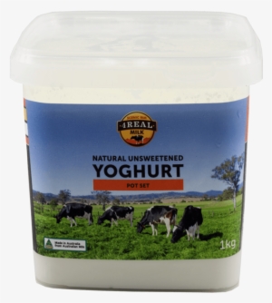 Packed Yogurt - 4real Milk
