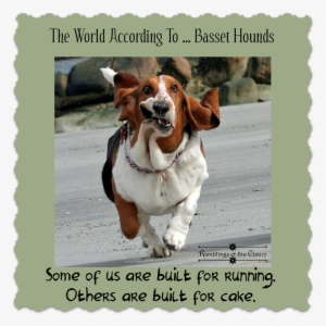 Basset Hounds - Newborn Basset Hound Puppies