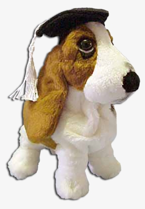 Graduation Hushpuppy Basset Hound Puppy Dog - Basset Hound