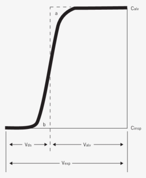 Fowler's Illustration Of The Measurement Of Anatomical - Diagram