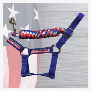 Patriotic Halter Lead Combowhile Supplies Last - Halter
