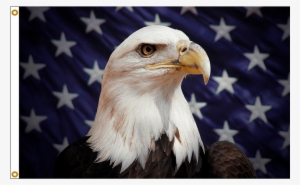 Patriotic Stars & Stripes American Eagle Flag - Eagle Flag