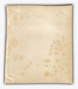 Paper - Vellum