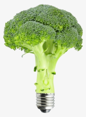 Broccoli Renewable Energy Bulb - Broccoli