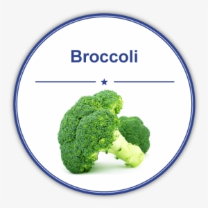 Imagen De Brocoli En Ingles