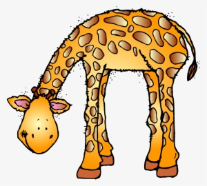 Zoo Animal Clipart - Zoo Animals Clip Art