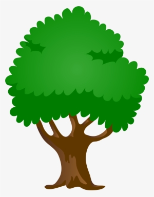Oak Tree Cartoon Png