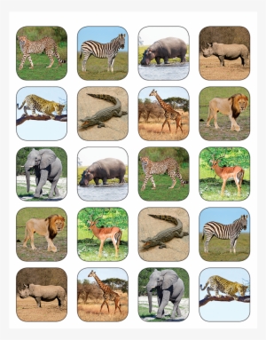 Tcr5468 Safari Animals Stickers Image - Teacher Created Resources Safari Animals Stickers