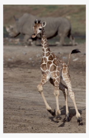San Diego Zoo