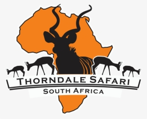Thorndale Safari - Hunting South Africa
