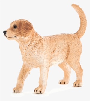 Animal Planet - Golden Retriever Puppy