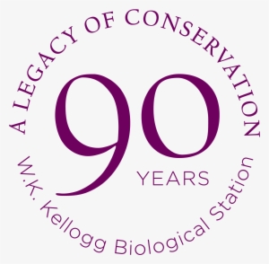 90 Years - Anu