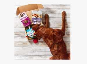 Golden Retriever Gifts - Golden Retriever