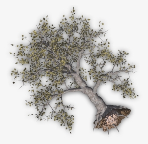 24 Mar 2009 - Clip Art